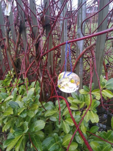 IMG 20210108 142235 768x1024