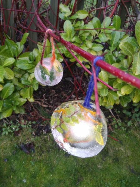 IMG 20210108 142246 768x1024