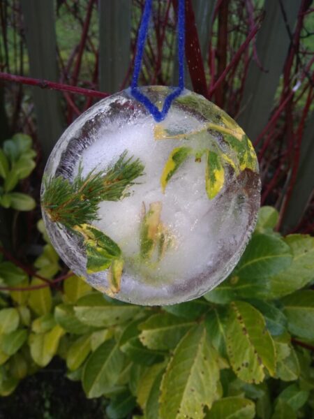 IMG 20210108 142251 768x1024